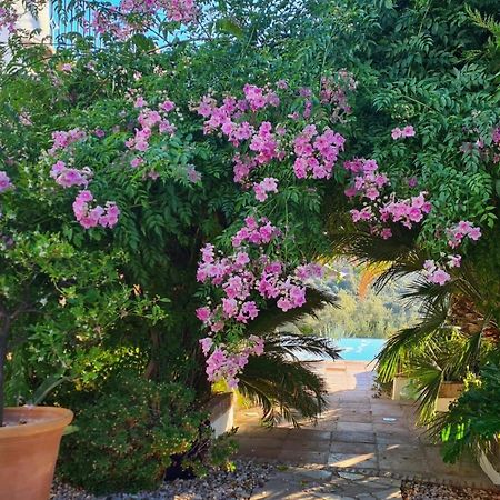 Cortijo La Haza Bed and Breakfast Iznájar Exteriör bild