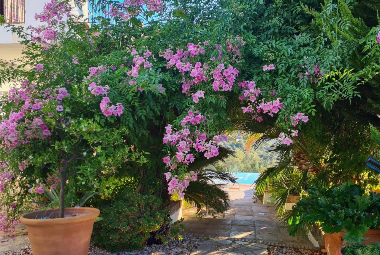 Cortijo La Haza Bed and Breakfast Iznájar Exteriör bild
