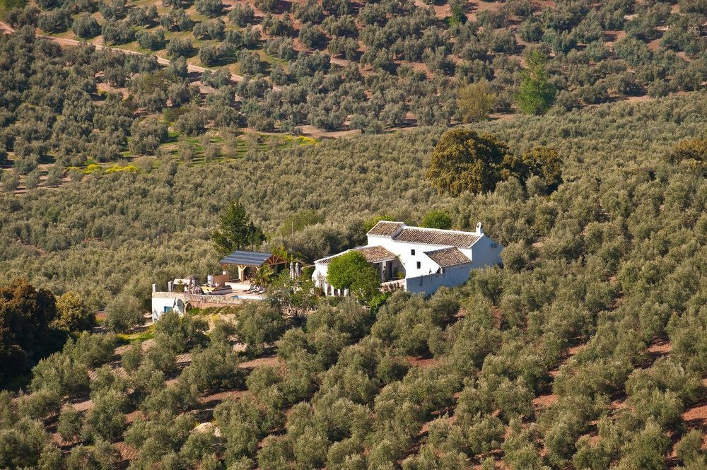 Cortijo La Haza Bed and Breakfast Iznájar Exteriör bild